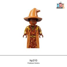 Figurine Harry Potter Professor Sinistra, réf. hp310