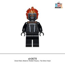 Figurine Super Heroes Ghost Rider (Roberto 'Robbie' Reyes) - Flat Silver Head, réf. sh0678
