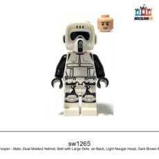Figurine Star Wars Imperial Scout Trooper - Male, Dual Molded Helmet, Belt with Large Dots on Back, réf. sw1265